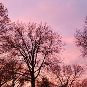 Meet your Posher, Sparkles